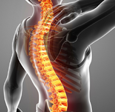 Specializing in mechanical diagnosis and treatment of the spine utilizing McKenzie technique…